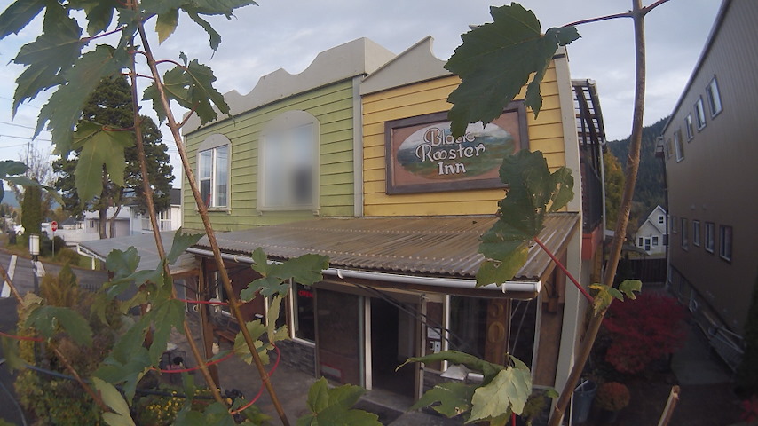 Canal de cámara en directo de Black Rooster Guesthouse en Prince Rupert, BC, Canada