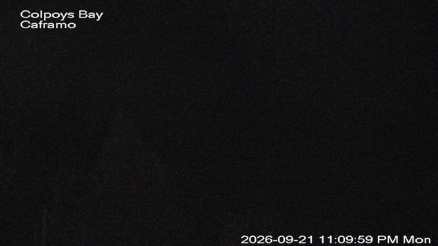 Live camera feed from Caframo in Georgian Bluffs, Ontario, Canada