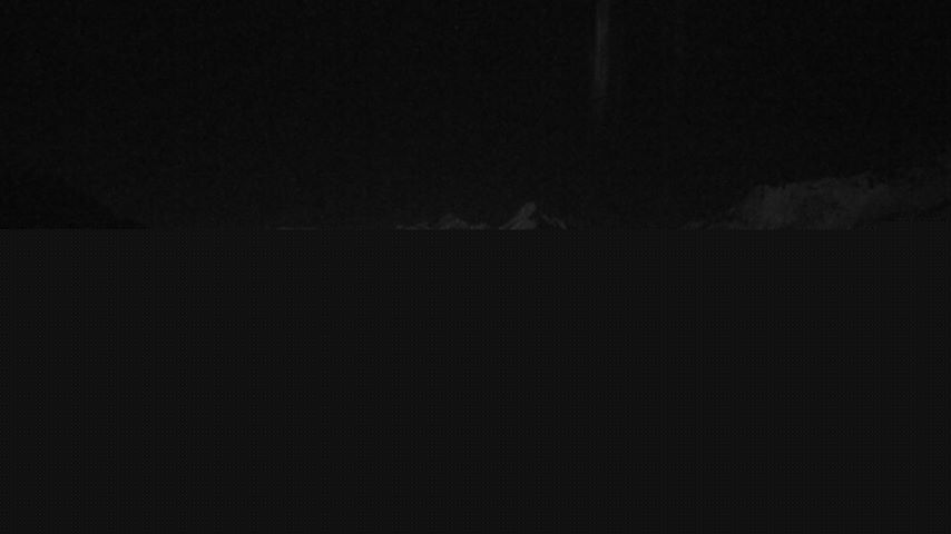 Damüls, Alpenstern Panoramahotel Image