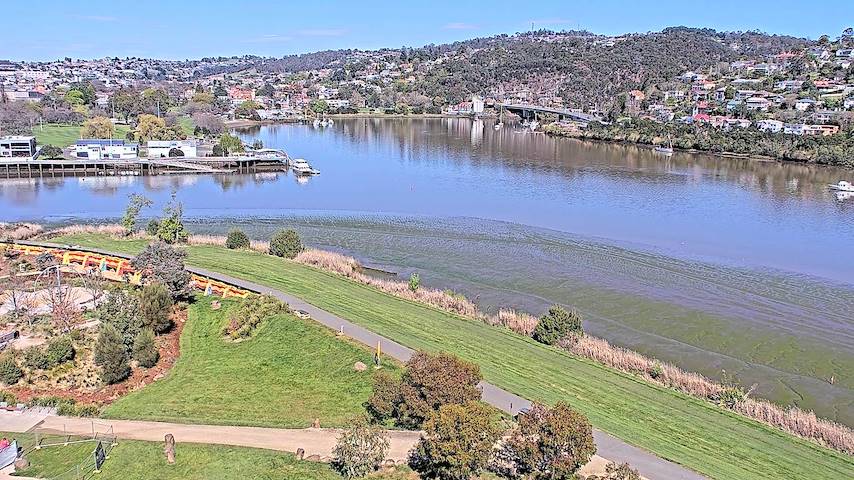 Live camera feed from Tamar Estuary in Launceston, Tasmania